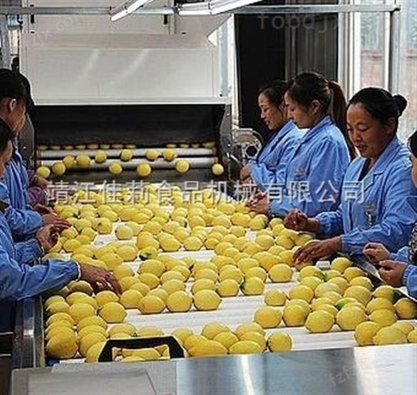 橙子柠檬加工设备厂家